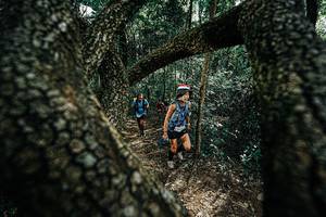 BIB: 
                            <button type="button" onclick="openModal(25391948)" class="btn btn-primary btn-sm float-right btn-popup" data-toggle="modal" data-target=".modal-high-quality">
                        <i class="fas fa-shopping-cart"></i> Add to Cart
                    </button>
                                            <button type="button" onclick="isThisMe(25391948, true)" class="btn btn-success btn-sm float-right btn-popup btn-isme hidden" data-toggle="tooltip" data-placement="bottom" title="นี่คือรูปของคุณใช่ไหม คลิกที่นี่เพื่อเอาเข้าอัลบั้ม">
                        <i class="fas fa-plus"></i> Add to album
                    </button>
                    <button type="button" onclick="isThisMe(25391948, false)" class="btn btn-warning btn-sm float-right btn-popup btn-isnotme hidden">
                        <i class="fas fa-ban"></i> Remove from album
                    </button>